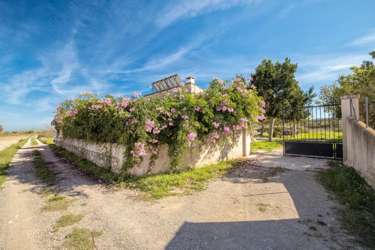 Es Camp Pla Villa Sineu  Luaran gambar