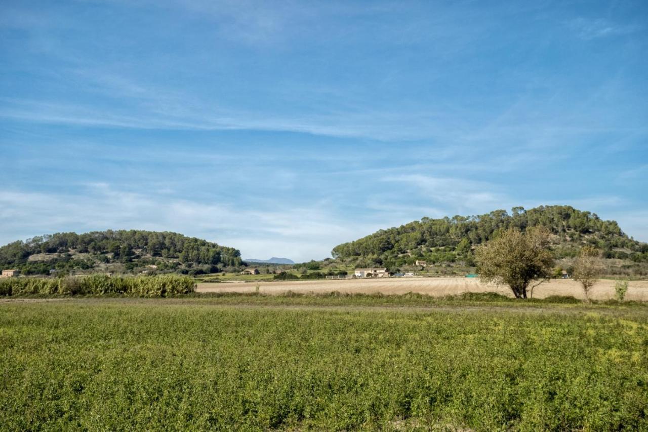 Es Camp Pla Villa Sineu  Luaran gambar