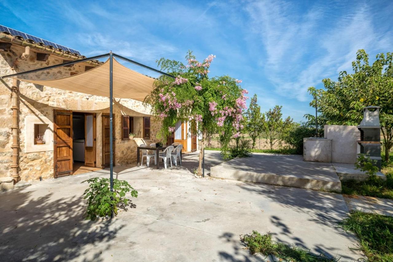 Es Camp Pla Villa Sineu  Luaran gambar